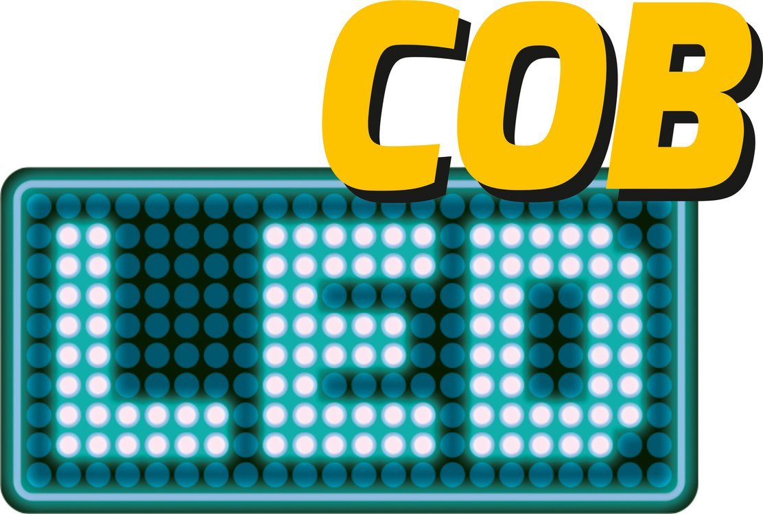 Akumuliatorinis šviesos diodų prožektorius | 5W COB 300LM (YT-81819)