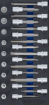 Įrankių dėklas 1/3: Įpresuotų antgalių rinkinys | 12,5 mm (1/2") | Spline (RIBE) | 25 vnt. (4117)