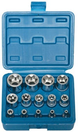 Набор головок E-Star для болтов 14 шт, 1/4"+3/8"+1/2", E4-E24