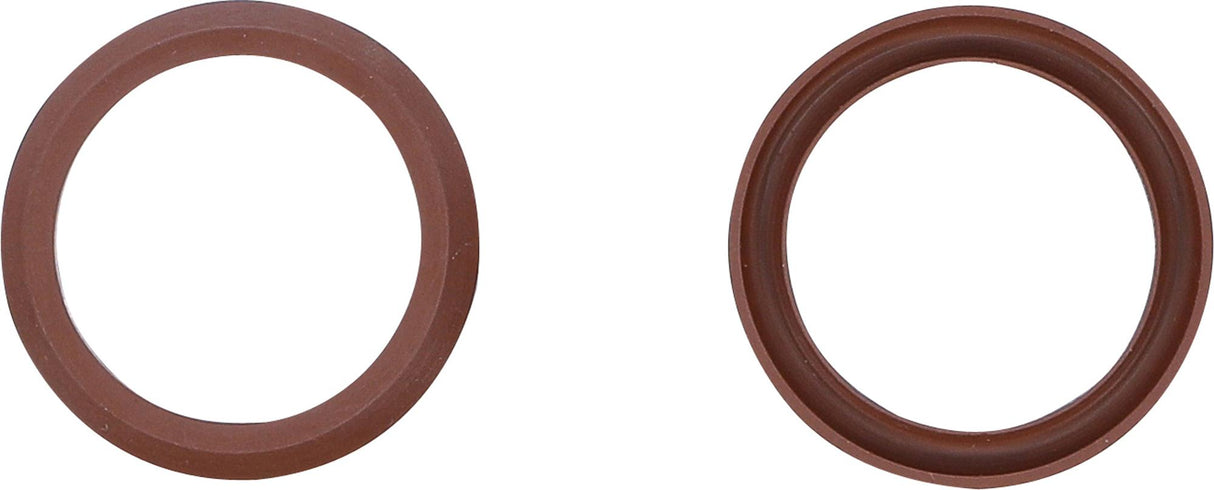 Fluoroelastomero sandarikliai BGS 4067 (4067-1)