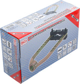 Pusašio nuėmėjas (1518)