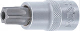 Antgalis įpresuotas į galvutę | 12,5 mm (1/2") | T-Star su skyle (Torx) T60 (4376)