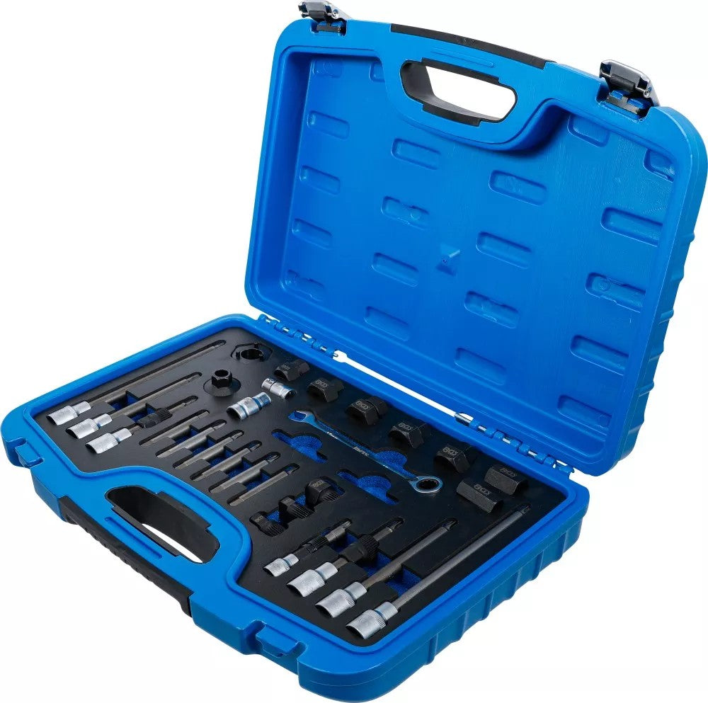 Generatoriaus įrankių rinkinys | 30 vnt. (4248)