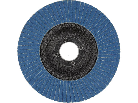 Šlifavimo diskas lapelinis | ZIRCONIUM | P120 | 125X22mm | 10 vnt (YT-833004)