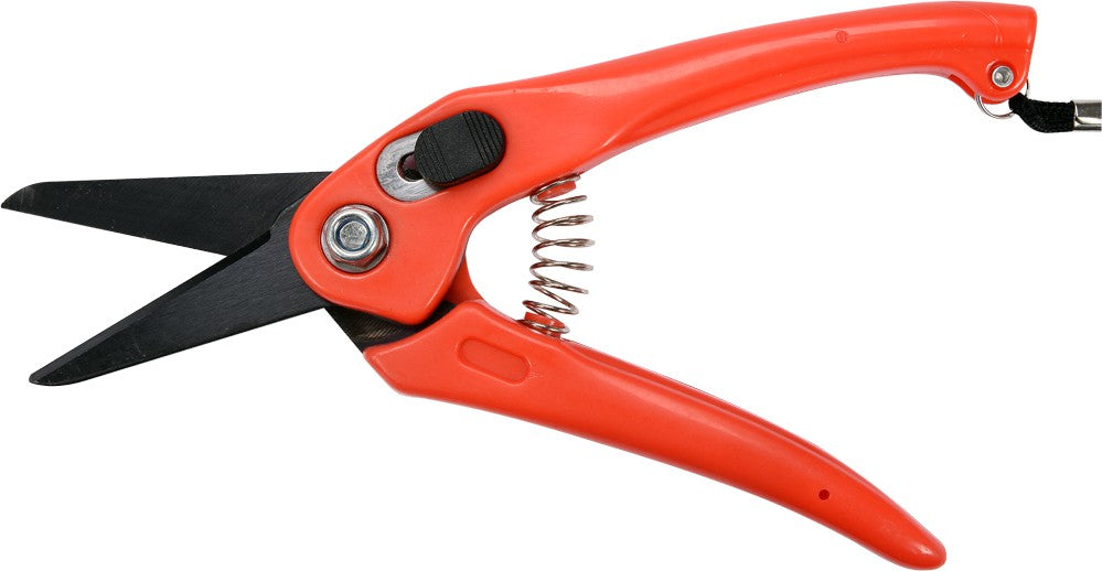 Sekatorius | 50 mm (99194)