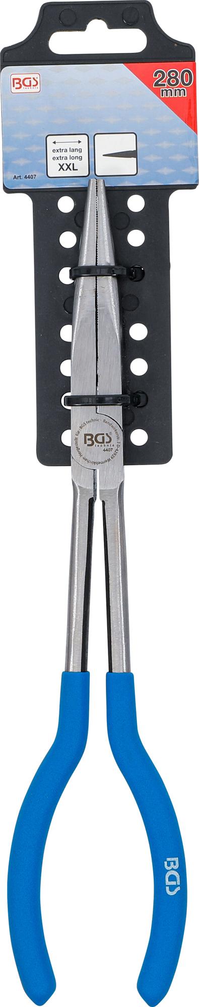 Replės tiesios ilgos | 280 mm (4407)