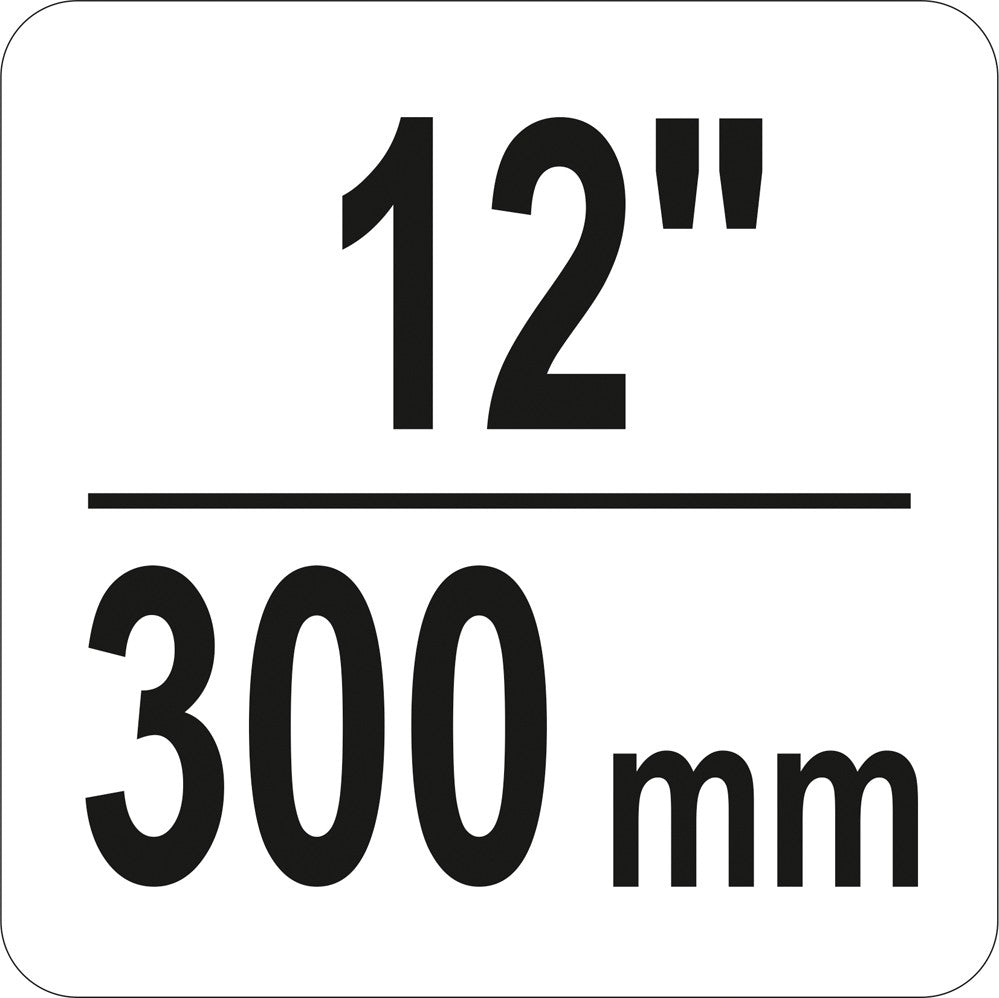 Spaustuvas su varžtu "C" tipo 12", 300 mm (YT-64258)