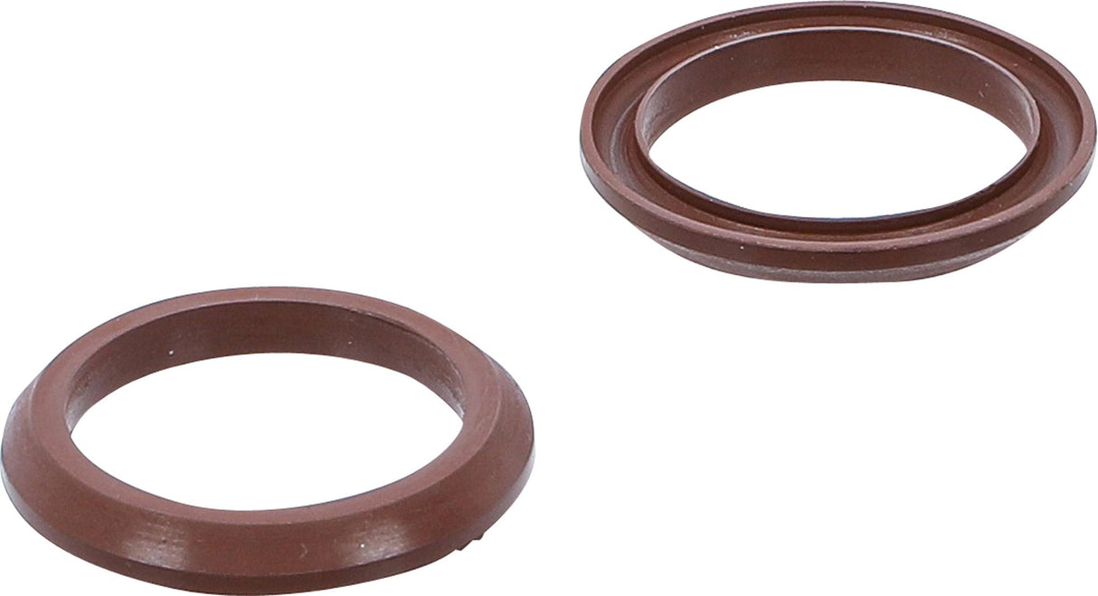 Fluoroelastomero sandarikliai BGS 4067 (4067-1)