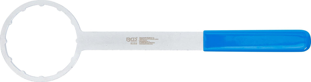 Tepalo filtro veržliaraktis | 12 kampų | Renault | 76 mm (8259)