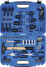 Galvučių rinkinys / Įrankių asortimentas | 67 vnt. (2217)