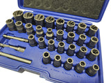 Specialus galvučių rinkinys / sraigtiniai ištraukikliai | 6.3 mm (1/4") / 10 mm (3/8") | 32 vnt. (SK201619)