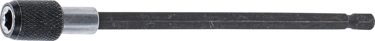Ilgintuvas šepečiams | iš BGS 3078 | vidinis šešiakampis 6,3 mm (1/4") | 150 mm (3078-3)