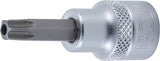 Antgalis įpresuotas į galvutę | 10 mm (3/8") | T-Star su skyle | (Torx) T40 (2575)