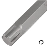 Antgalis | ilgis 100 mm | 10 mm (3/8") | Spline (RIBE) M10 (4775)