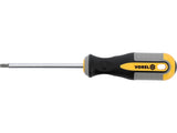 TORX Atsuktuvas T25x100 mm CRV (60888)