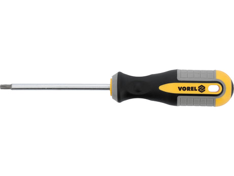 TORX Atsuktuvas T25x100 mm CRV (60888)