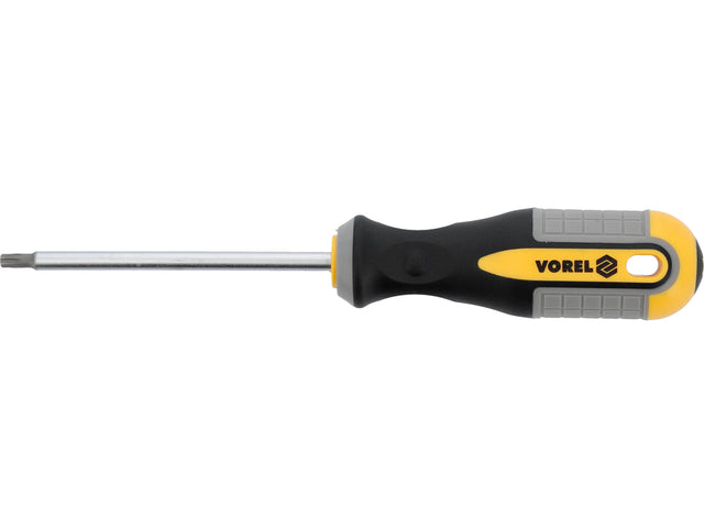 TORX Atsuktuvas T25x100 mm CRV (60888)