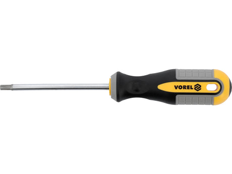 TORX Atsuktuvas T27x100 mm CRV (60889)