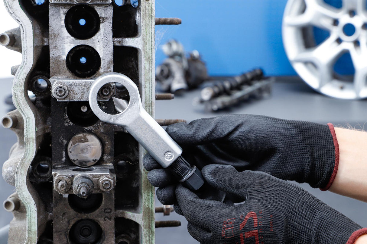 Veržlės nukandėjas | iki 22 mm (1810)