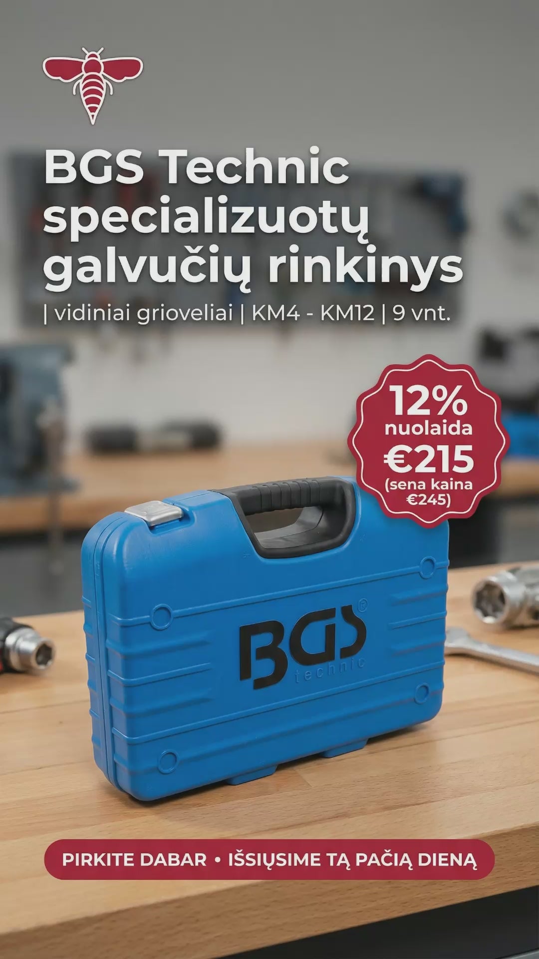 Specializuotų galvučių rinkinys | vidiniai grioveliai | KM4 - KM12 | 9 vnt. (8327)