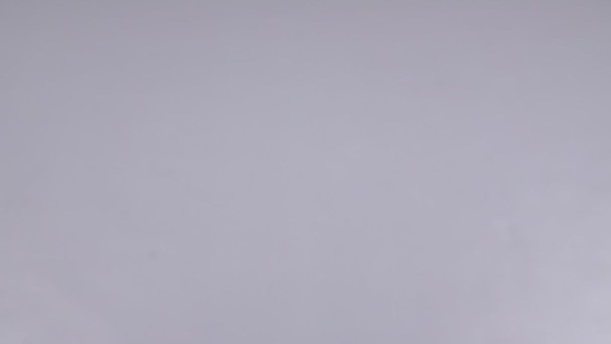 Žemo profilio hidraulinis domkratas su ratukais Wüber W22002 | 80-375 mm | 2.5 t | lagaminas (W22002)