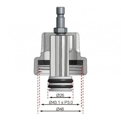 Adapteris Nr. 7 iš BGS 8027, 8098 | Alfa Romeo, Citroën, Fiat, Mini, Peugeot, Renault, Saab (8027-7) 5