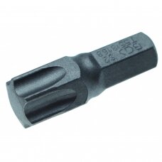 Antgalis | 8 mm (5/16") storio | T-star (Torx) T55 (8168)