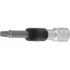 Antgalis generatoriaus remontui | 12,5 mm (1/2")  | T-Star (Torx) T50 | 2 vnt. (4240)