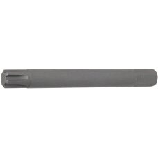 Antgalis | ilgis 100 mm | 10 mm (3/8") | Spline (RIBE) M11 (4777)
