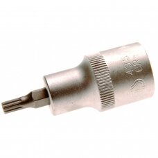 Antgalis įpresuotas į galvutę | 12,5 mm (1/2") | Spline (XZN) M5 (4350)