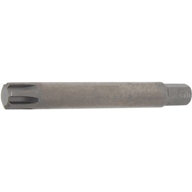 Antgalis | ilgis 100 mm | 10 mm (3/8") | Spline (RIBE) M13 (4779)