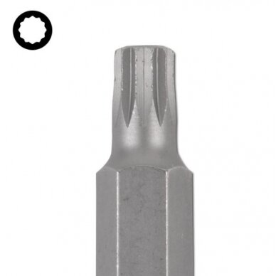 Antgalis | ilgis 75 mm | 10 mm (3/8") storis | Spline (XZN) | M6 (4860) 1