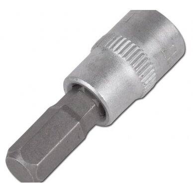 Antgalis įpresuotas į 1/4" galvutę H6 (FC2608-H6)