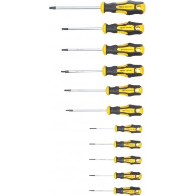 Atsuktuvų rinkinys BGS DIY 7844 | TORX | 11VNT. 1