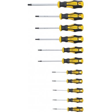 Atsuktuvų rinkinys BGS DIY 7845 | TORX TR | 11VNT.