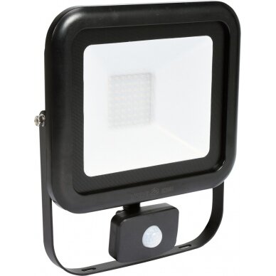 COB LED lempa su judesio davikliu 50W su diodu, 4000LM (82848) 2