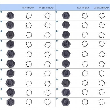 Galvučių rinkinys ratų varžtų užraktams [slapukams] H4034 | su 1/2" adapteriu ir išmušikliu | BMW | 22 vnt. 5