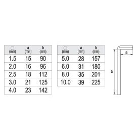 L tipo raktų rinkinys | ilgas tipas | hex šešiakampis 1,5 - 10 mm | 9 vnt. (YT-0501) 2