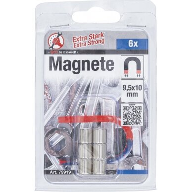 Magnetų rinkinys | ypač stiprūs | Ø 9,5 mm | 6 vnt. (79919B) 1