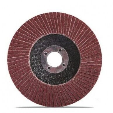 Šlifavimo diskas lapelinis | plokščios formos | P100 | 125X22,2 mm (ES813100)